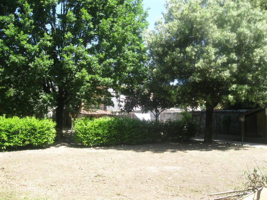 Villa Patrizia B&B Lucca Exterior photo